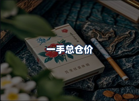 专业团队办公环境